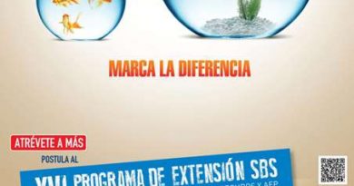 20140630-afiche_xvi_programa
