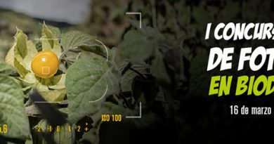 banner_concurso